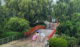 济南跑马岭爆料案件最新